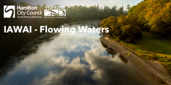 Households wanted for Hamilton East water meter pilot image