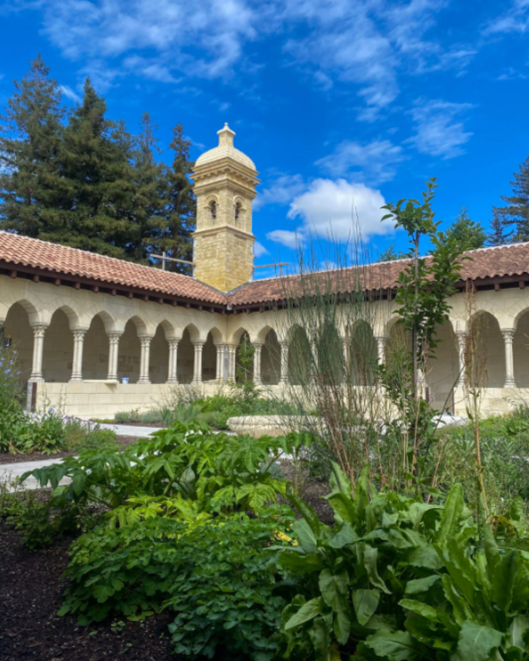 Behind the scenes of Hamilton Gardens