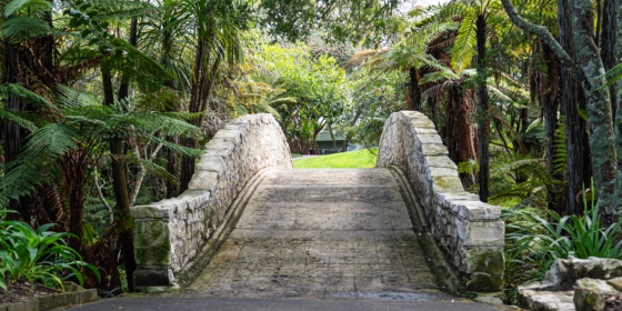 Happening in Hamilton image template (1)-Sep-29-2025-07-01-56-5764-PM