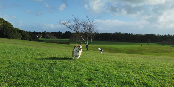 Happening in Hamilton image template (15)-Aug-26-2025-08-34-50-3316-PM