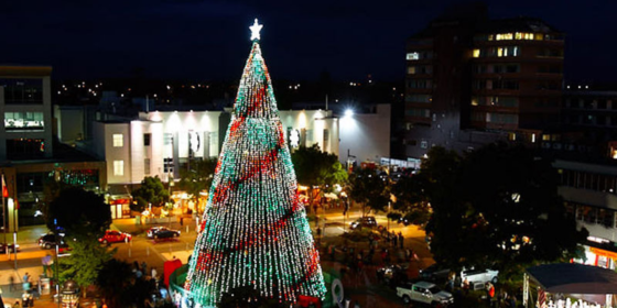 Happening in Hamilton image template (16)-Oct-27-2025-09-58-08-9267-PM