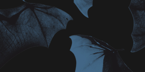 Happening in Hamilton image template (4)-Oct-27-2025-09-48-44-2824-PM