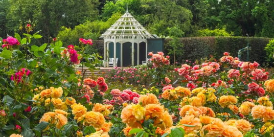 Happening in Hamilton image template (7)-Oct-27-2025-09-51-12-4027-PM