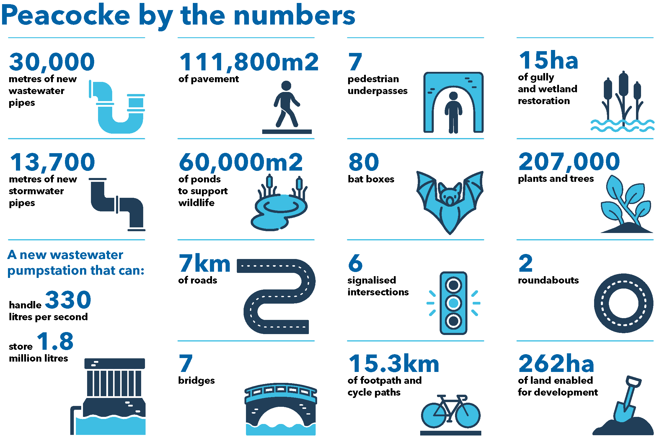 Peacocke Infographic
