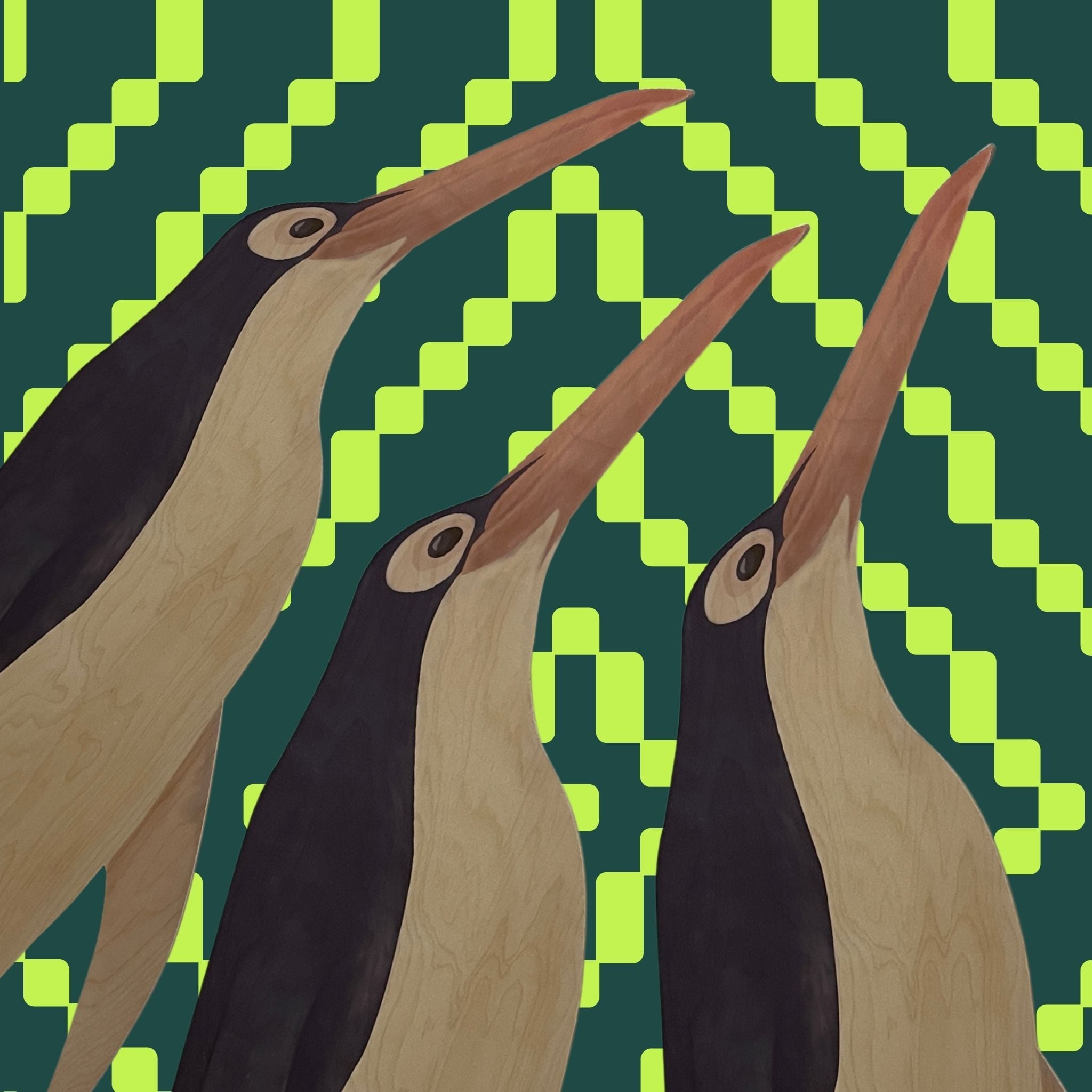 Penguin Party 2